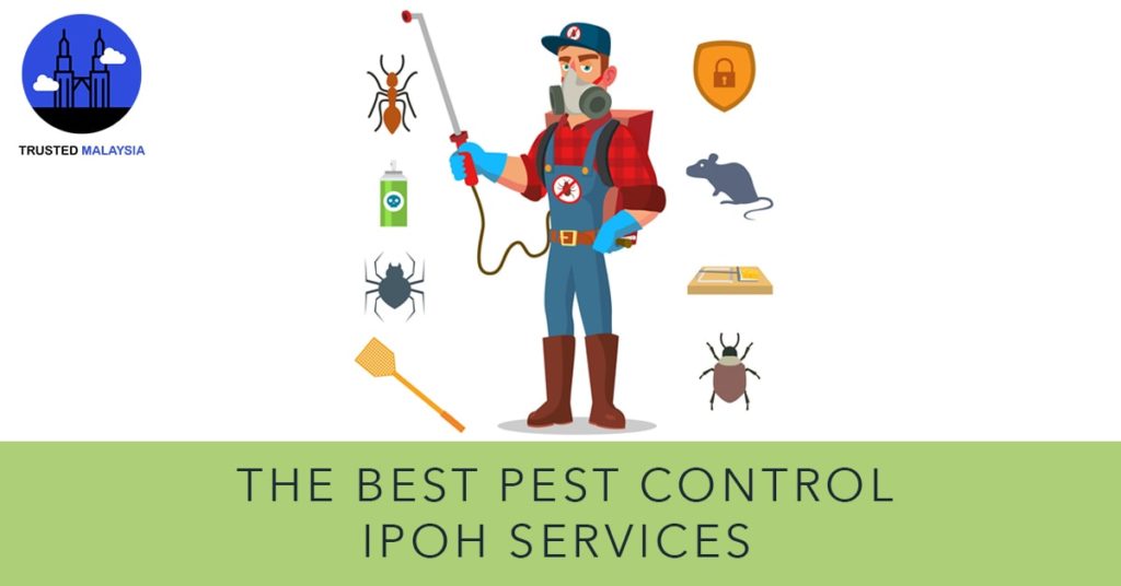 Best Pest Control in Ipoh