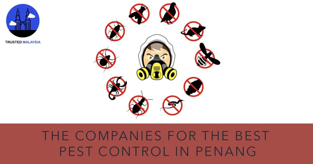 Best Pest Control in Penang