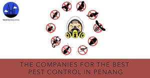 Best Pest Control in Penang