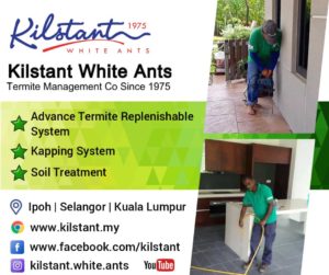 Kilstant White Ants