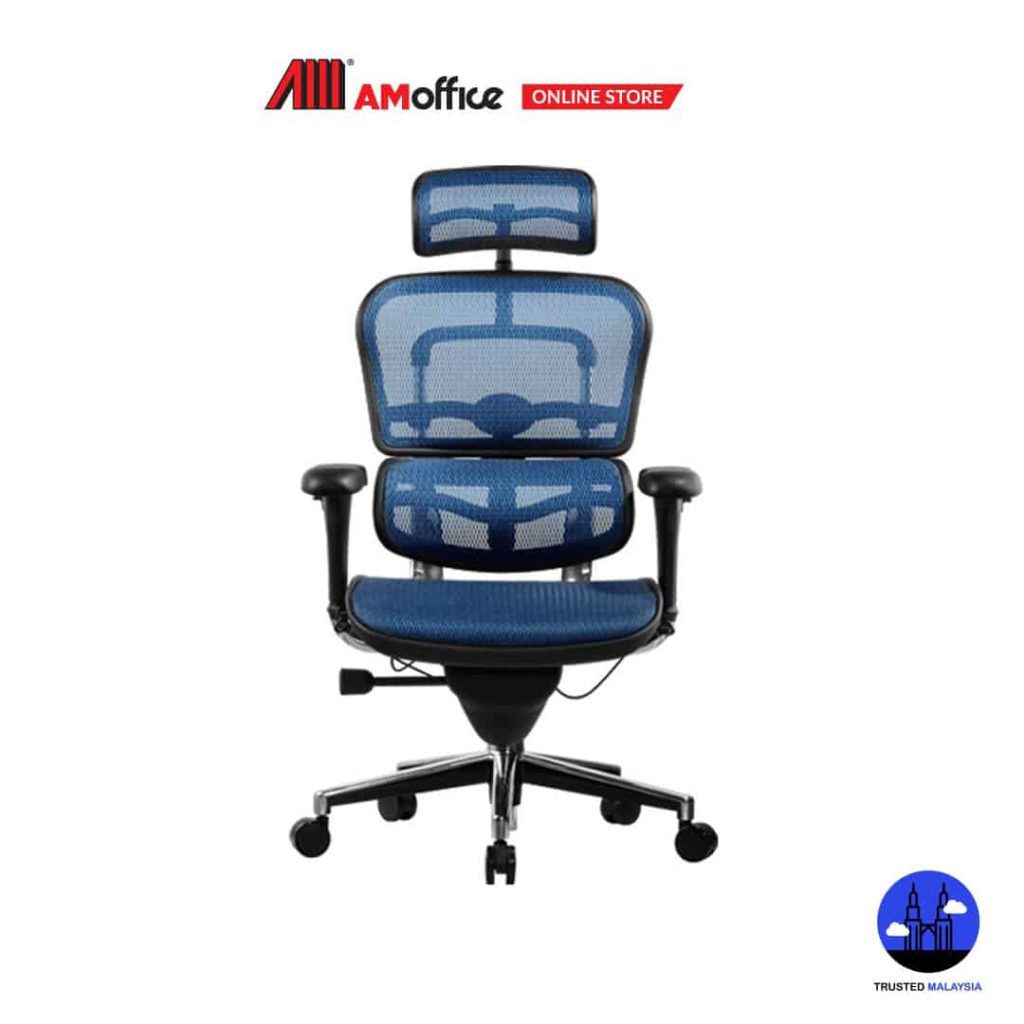AM Office Ergohuman Chair