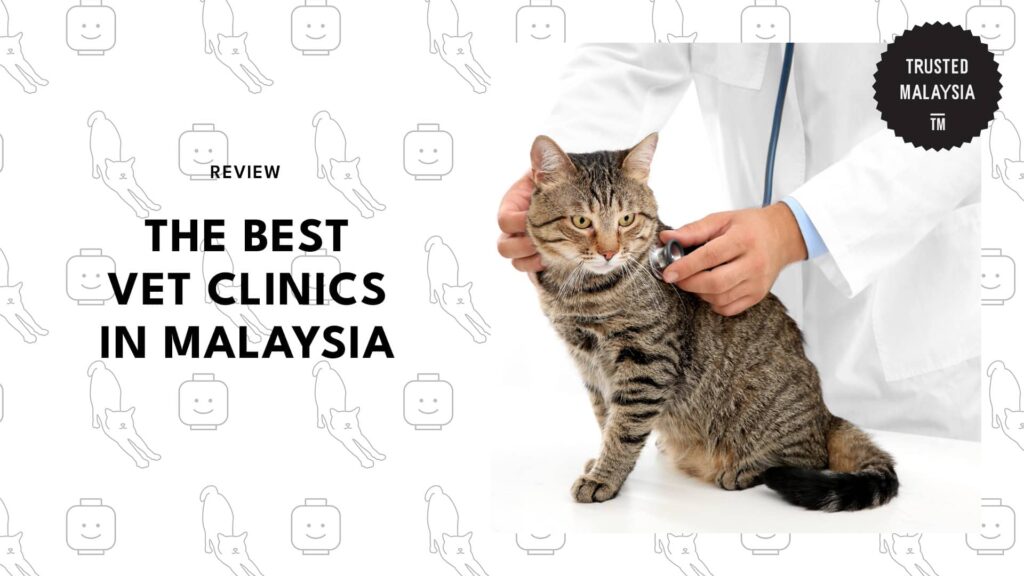 Best Vet Clinics