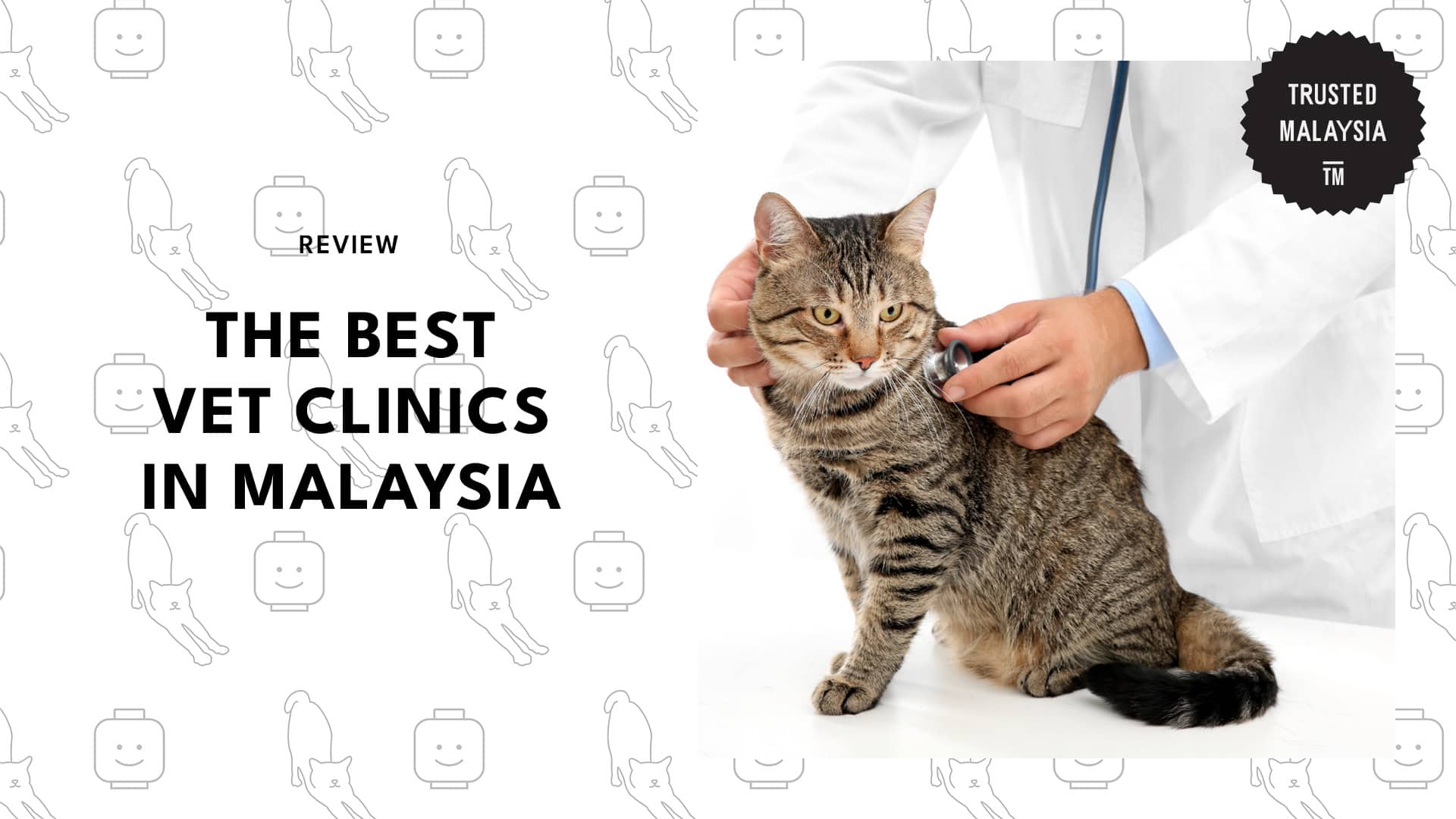 Best Vet Clinics