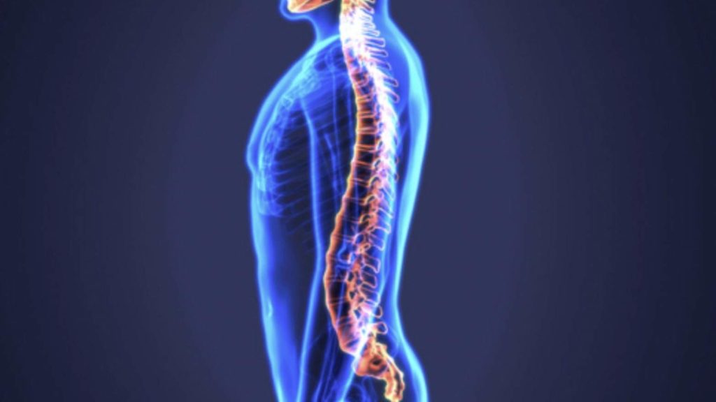 Keeping the Spine in a Neutral Position
