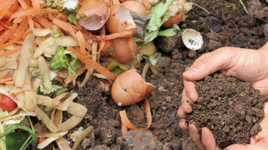 2. Compost food scraps and packaging