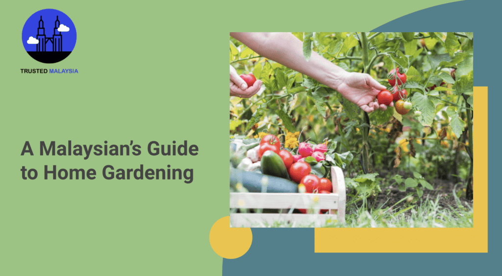 A Malaysian's Guide to Home Gardening