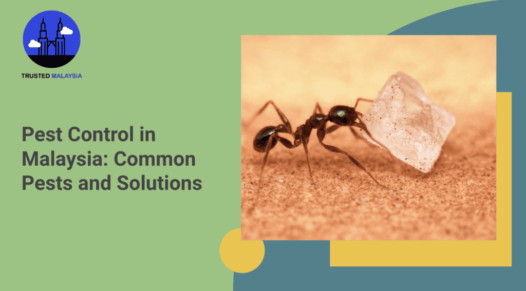 Pest Control in Malaysia Common Pests & Solutions