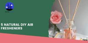 5 Natural DIY Air Fresheners
