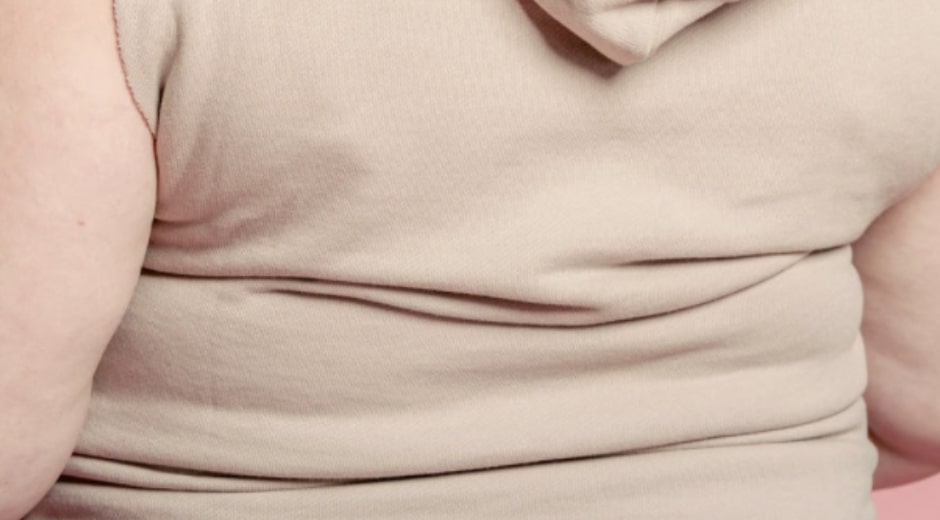 Fibrous Fat