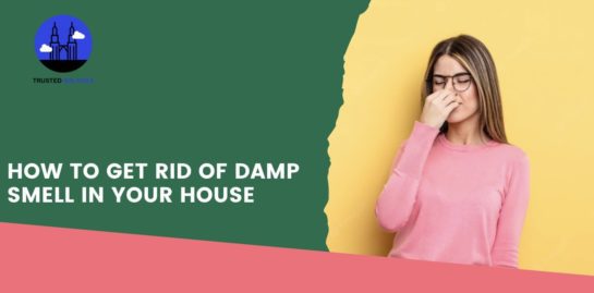 How to Get Rid of Damp Smell in Your House [2025]