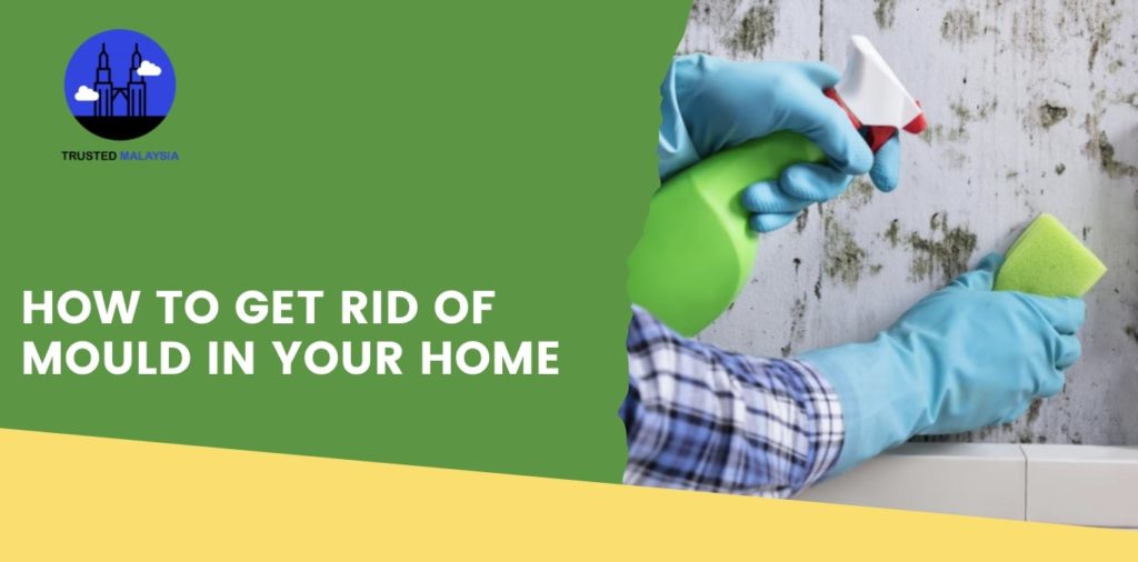 How to Get Rid of Mould in Your Home