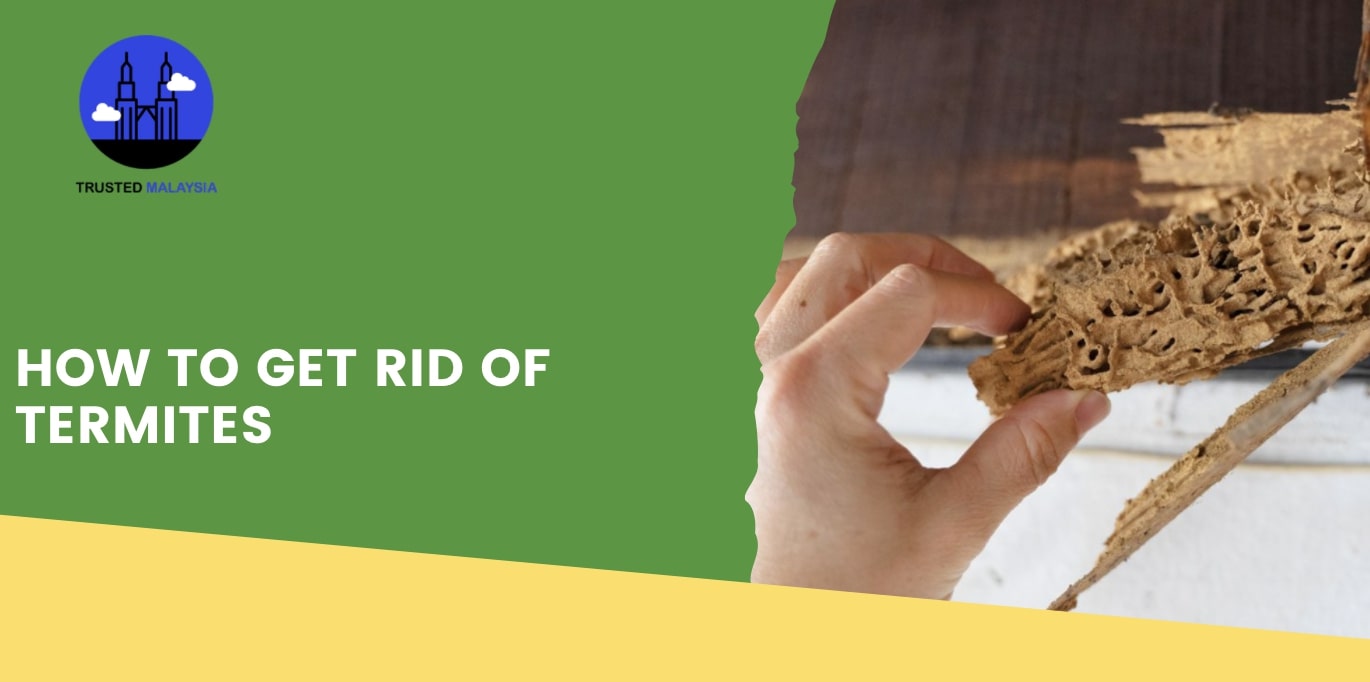 How to Get Rid of Termites