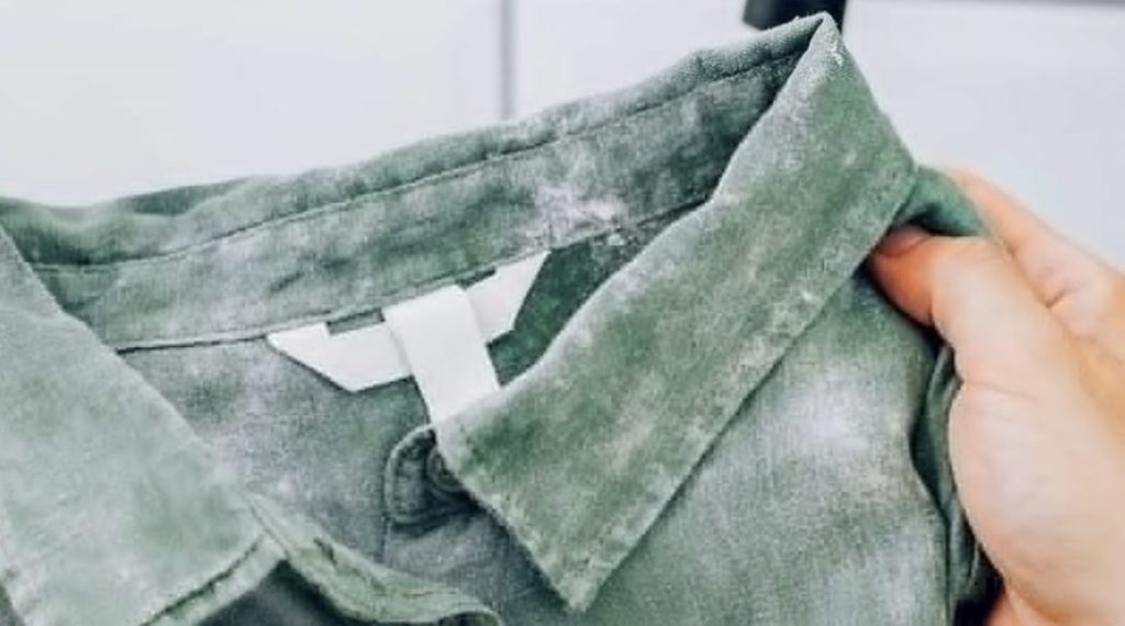How to Remove Mould from Fabric