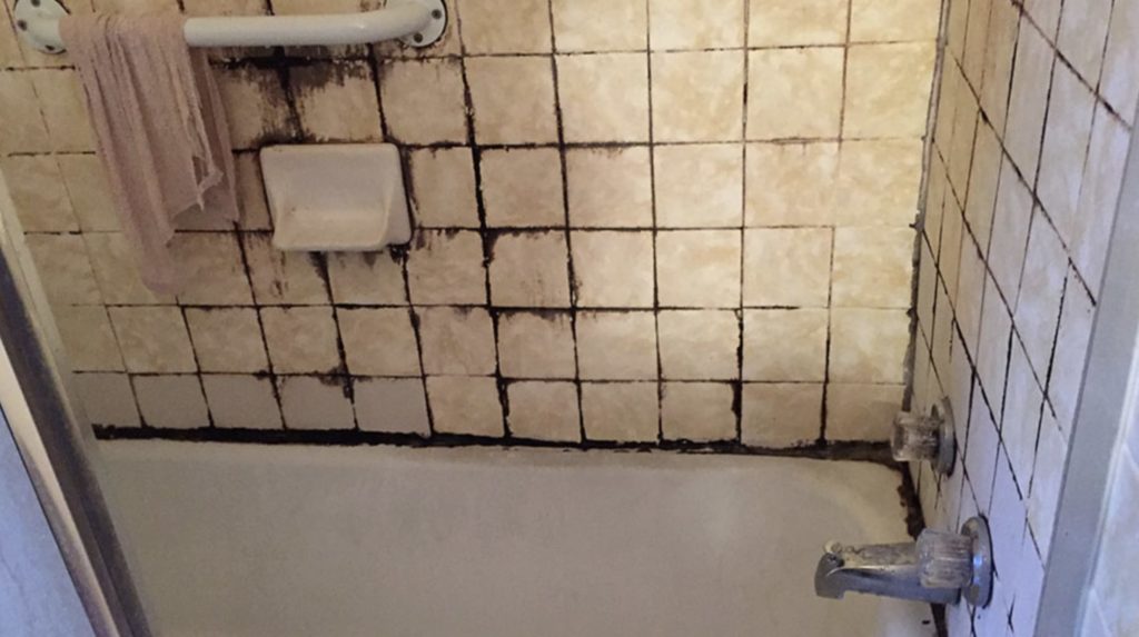 How to Remove Mould from Shower Tiles and Grout