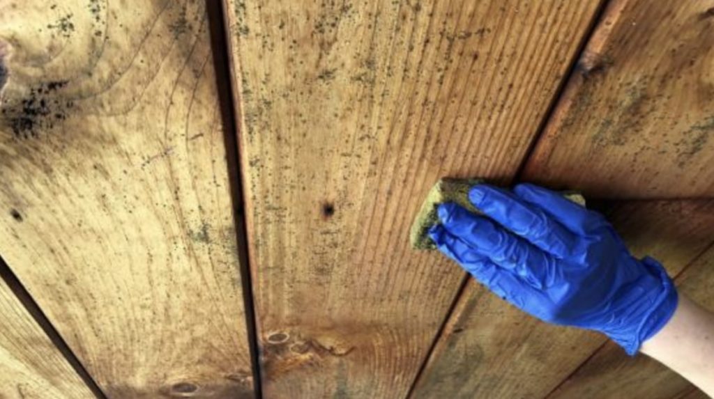 How to Remove Mould from Wood