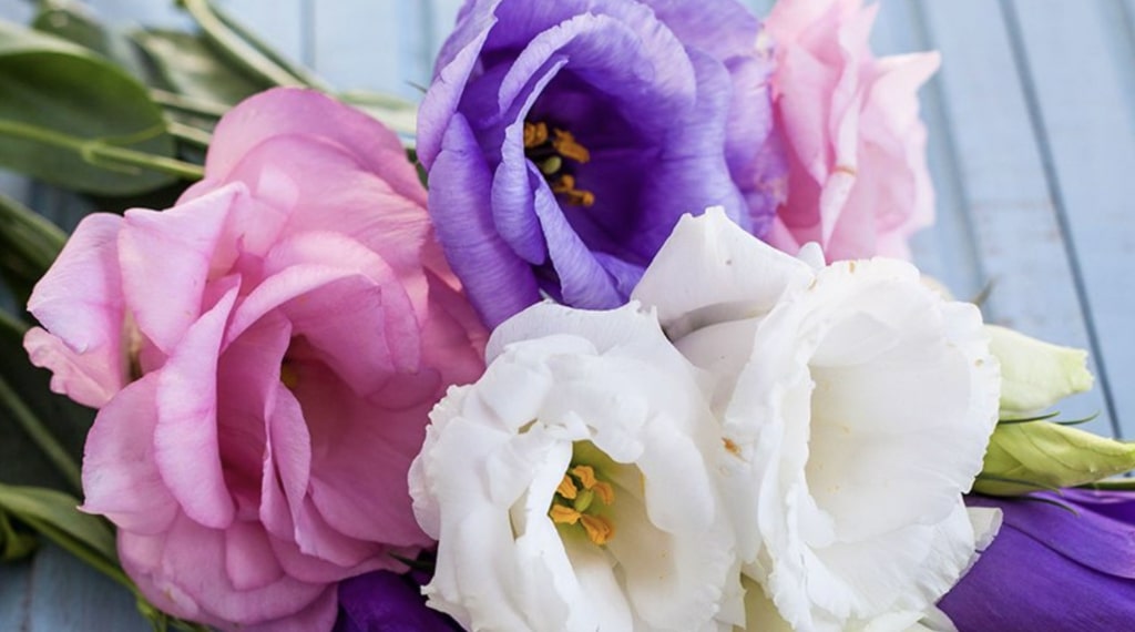 Include focal flowers