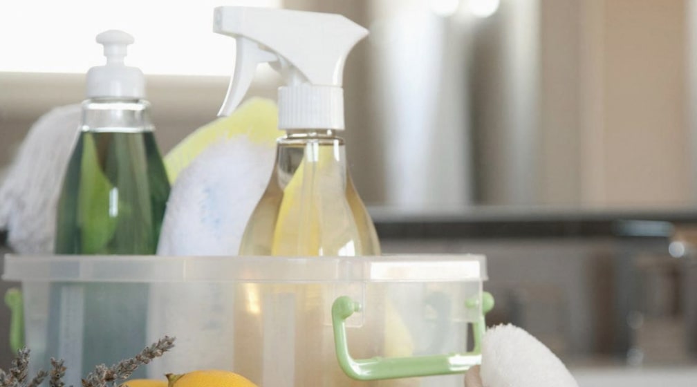 Products You Need to Kill Mould