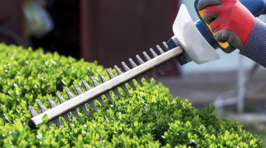 Remove potential hiding spots for burglars