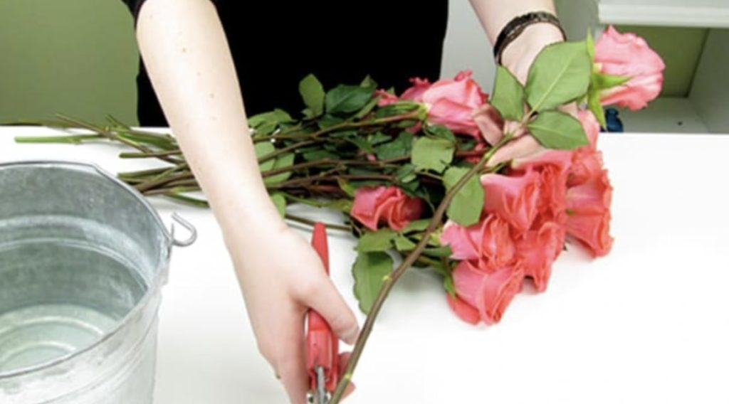 Take care of the flowers