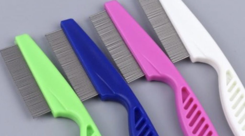 Use a flea comb