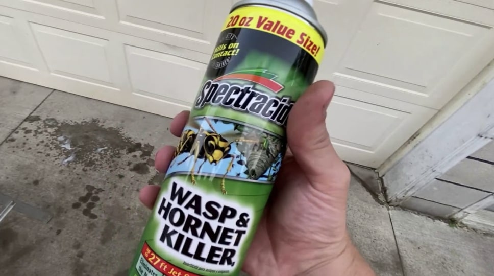 Use an insecticide