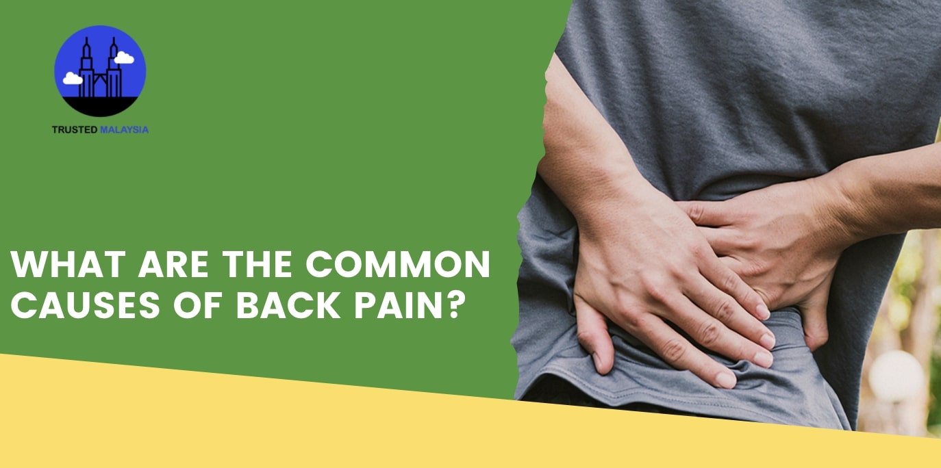 What are the common causes of back pain