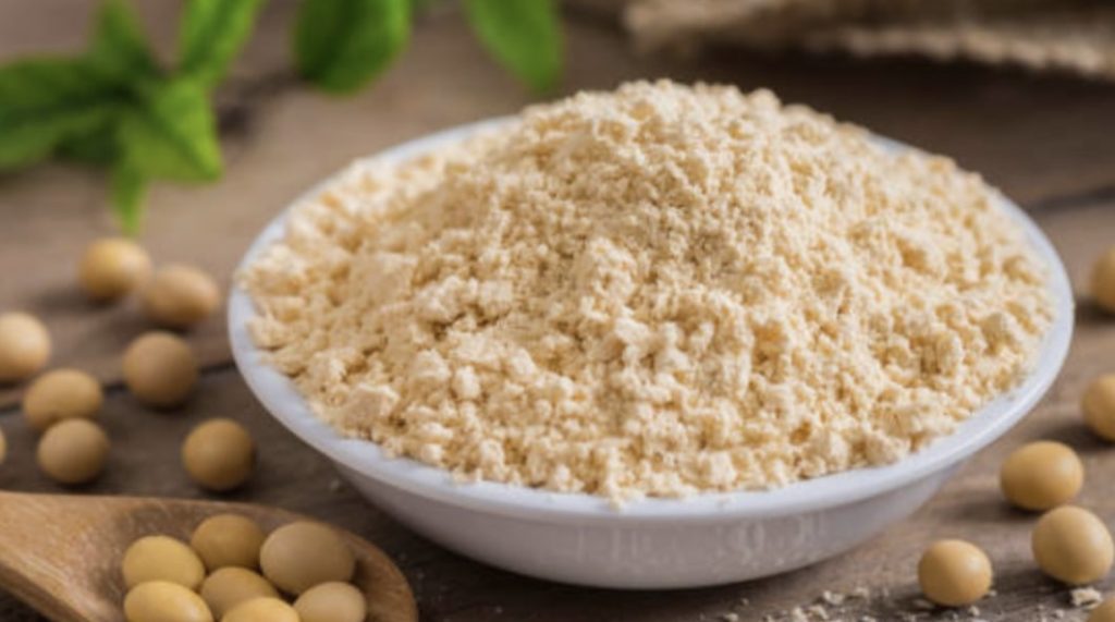 What is soy protein
