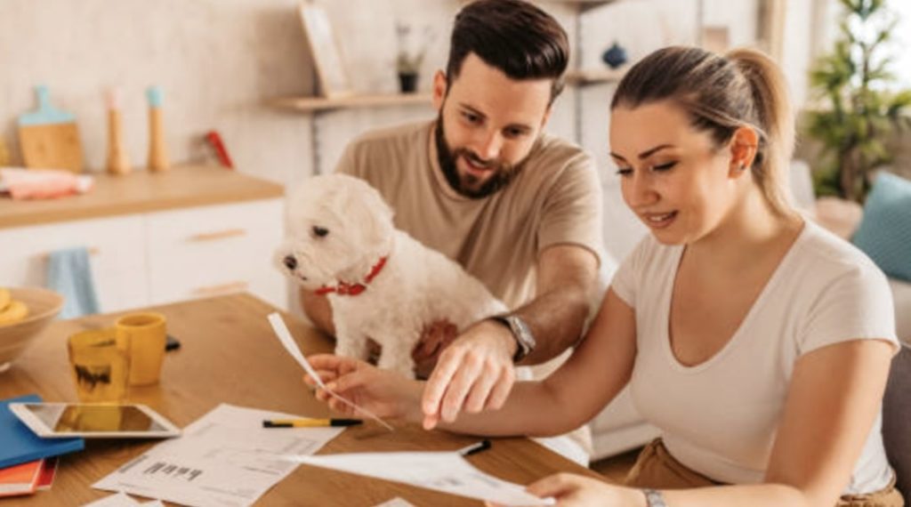 What is term life insurance