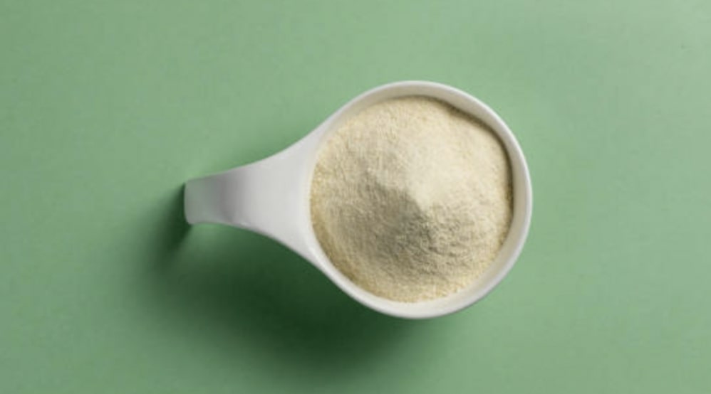 What is whey protein