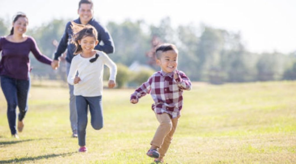 What is whole life insurance