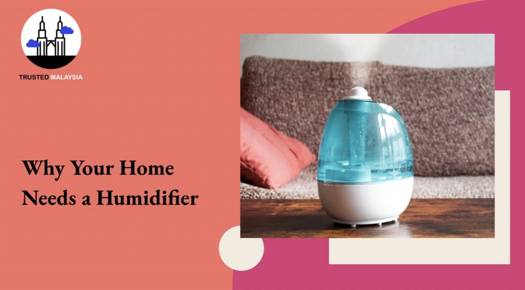 Why Your Home Needs a Humidifier