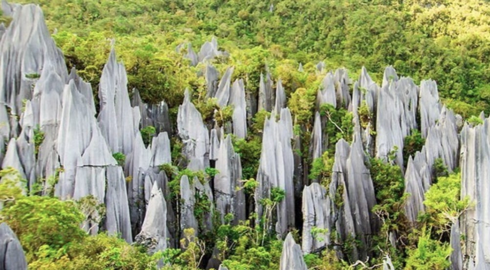Gunung Mulu National Park