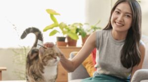 Pet-Friendly Areas