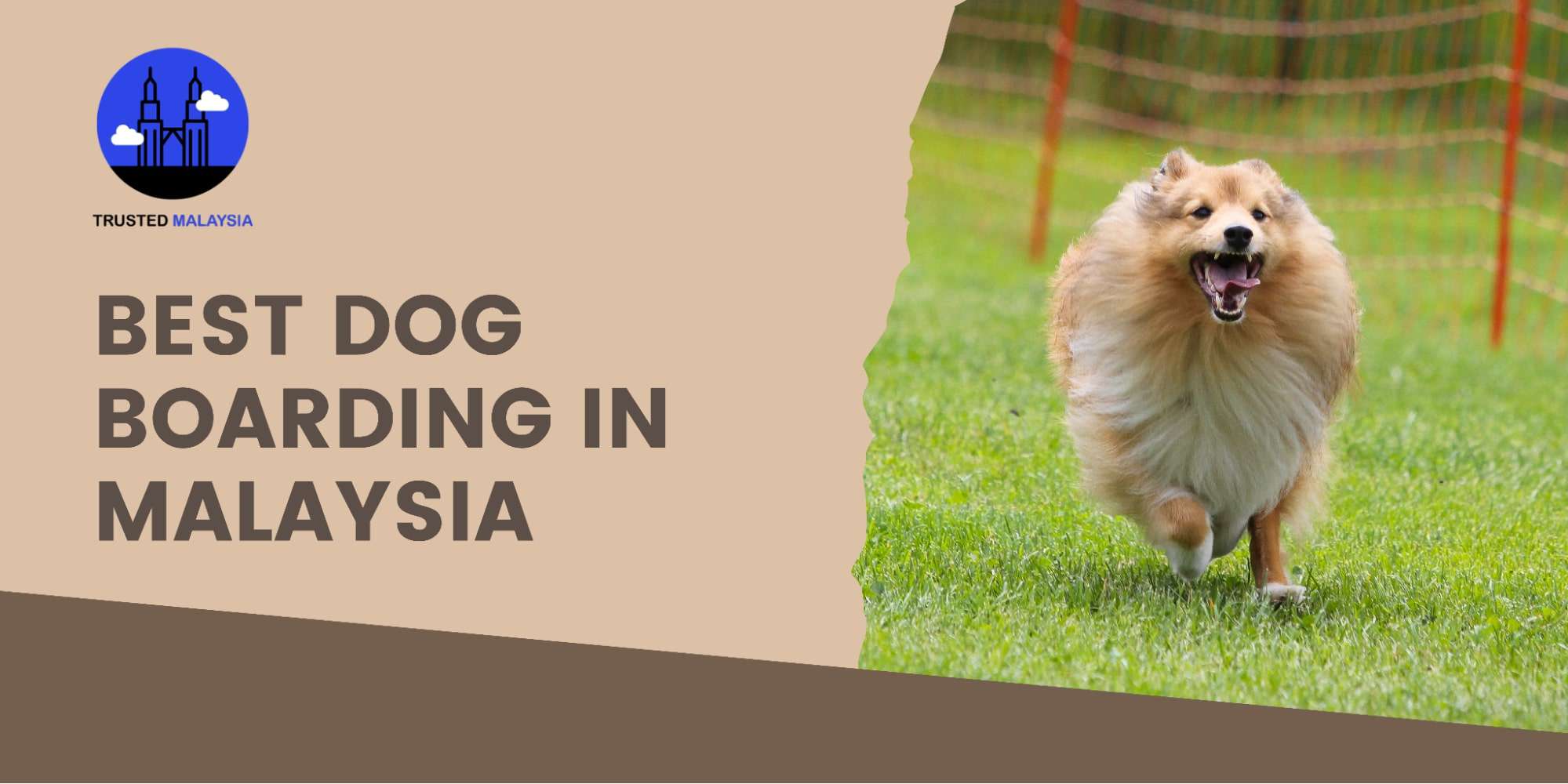 Best Dog Boarding in Malaysia