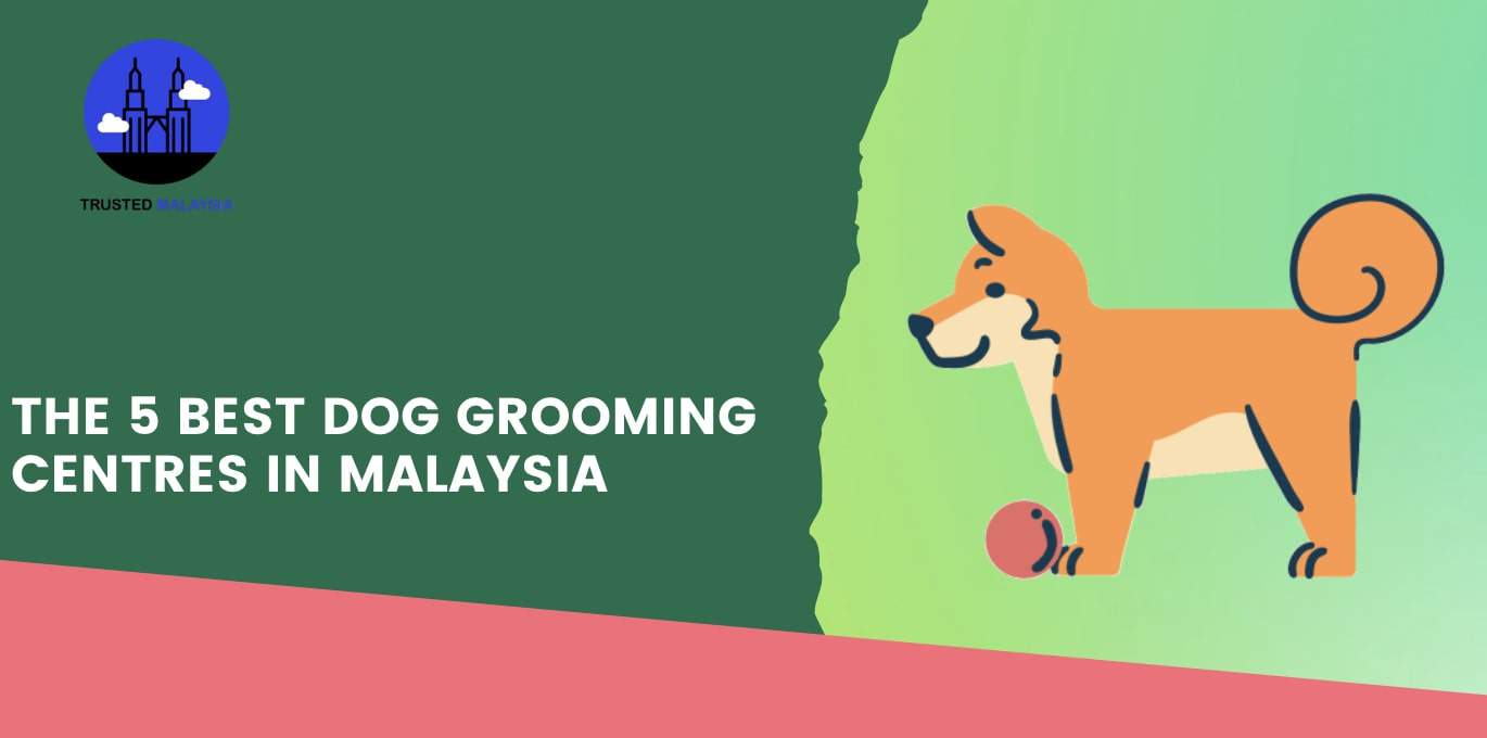 Best Dog Grooming