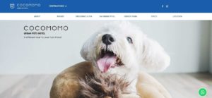 COCOMOMO Urban Pet Hotel homepage