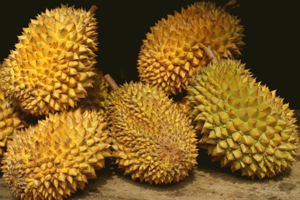 Malaysia is the Durian’s home.