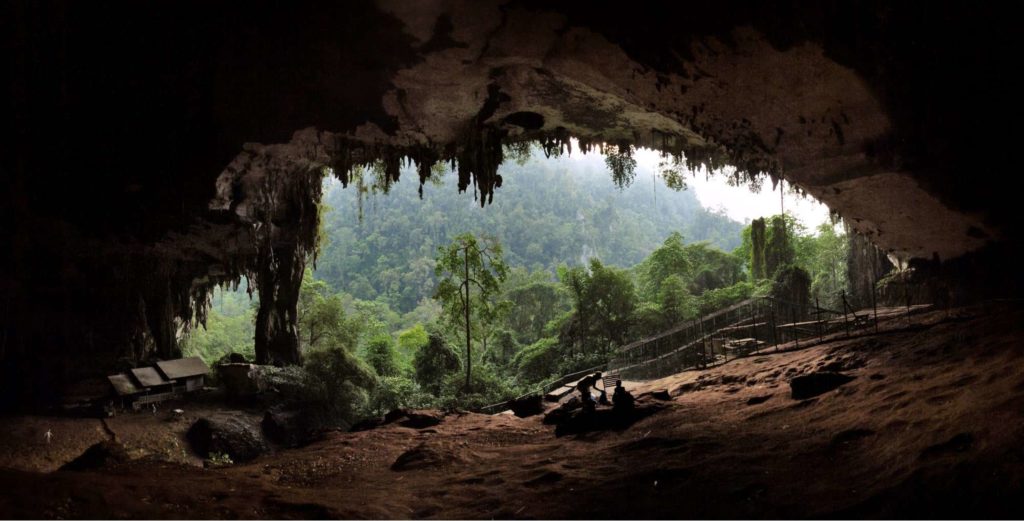 The Sarawak Cave Chamber is the largest in the world.