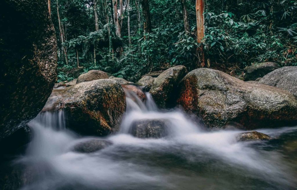 10 Best Waterfall Hikes in Selangor