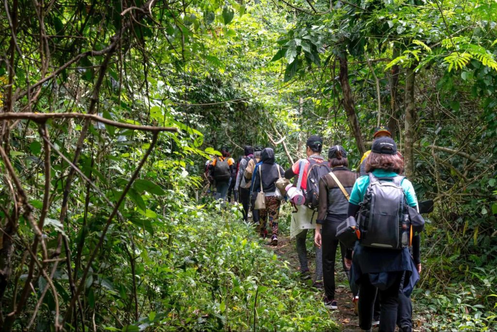 Go jungle trekking