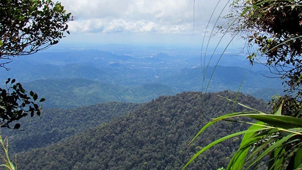 Gunung Nuang