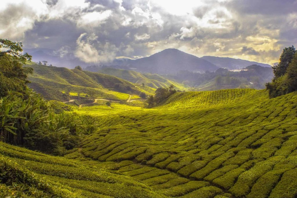 It has an interesting culture, customs, and traditions