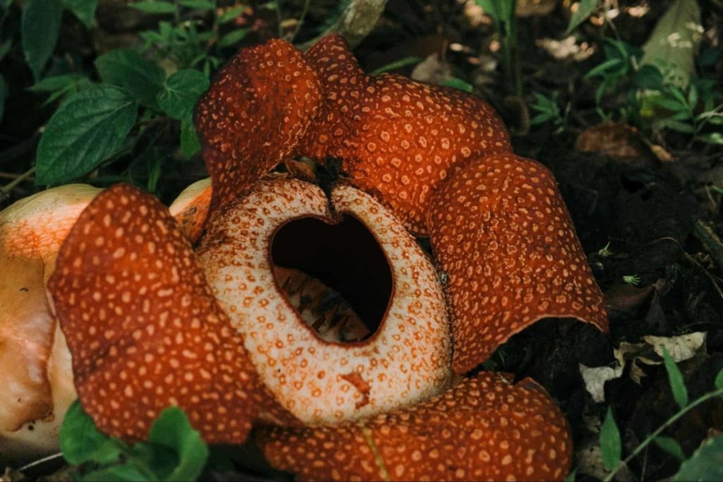 It is a great place for plant life and wildlife spotting