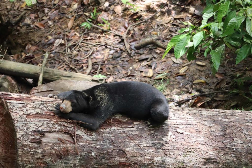 It is a trove of incredible flora and fauna species