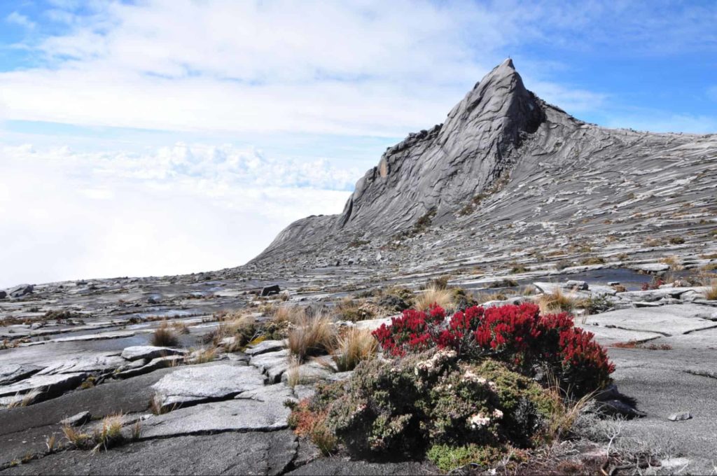 Mount Kinabalu