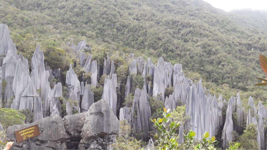 The Pinnacles