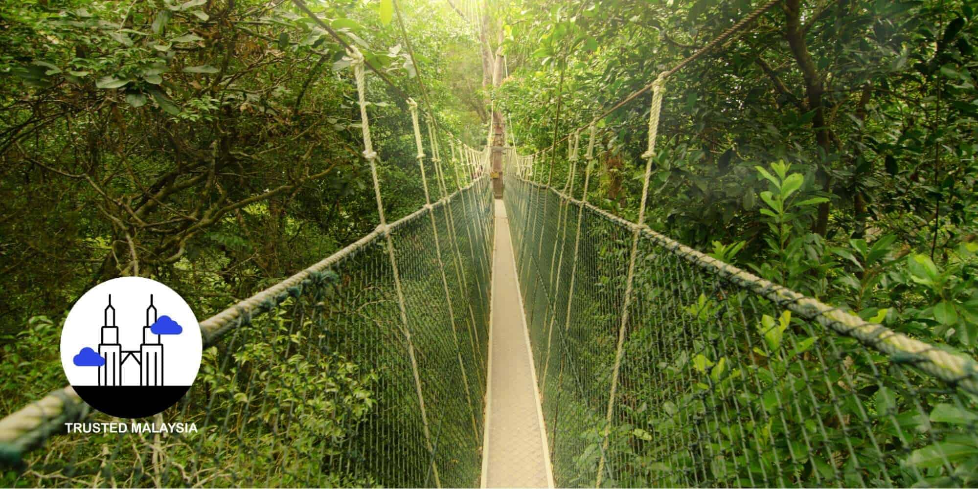 12 Easiest Trails to Try in Malaysia for First-Time Hikers