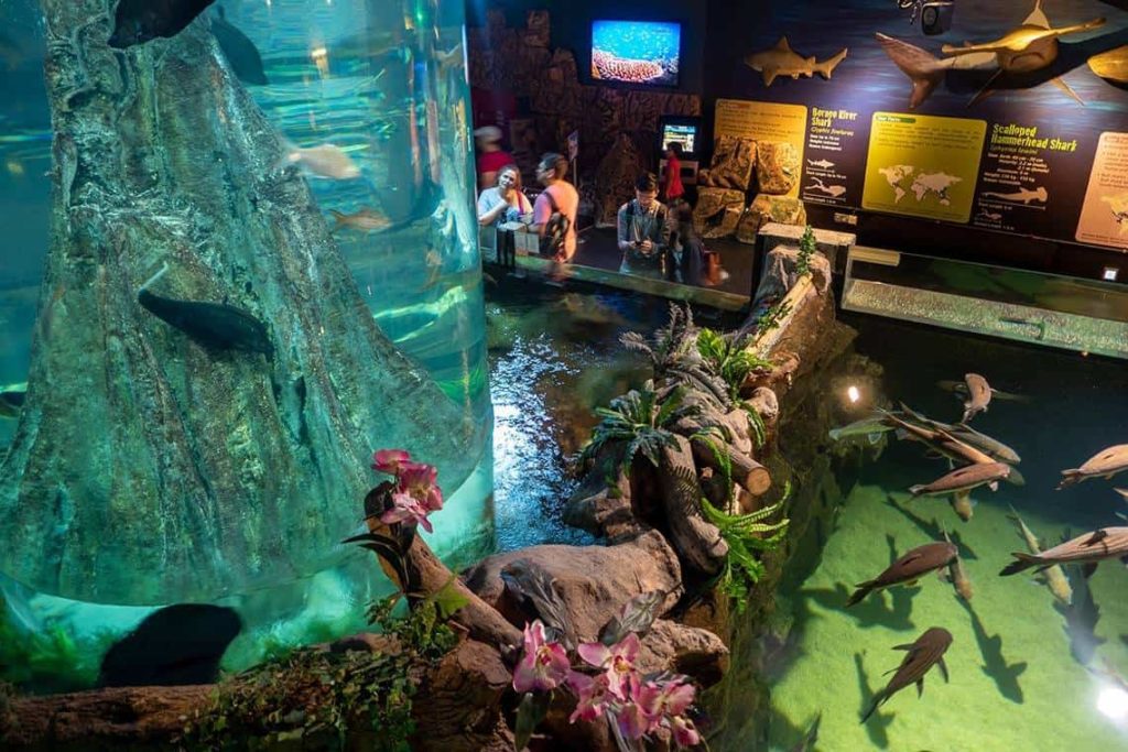 Aquaria KLCC