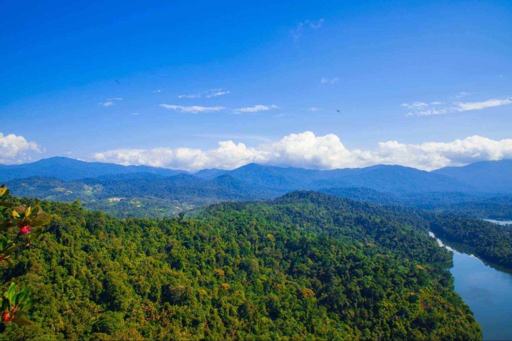 Connect with Nature