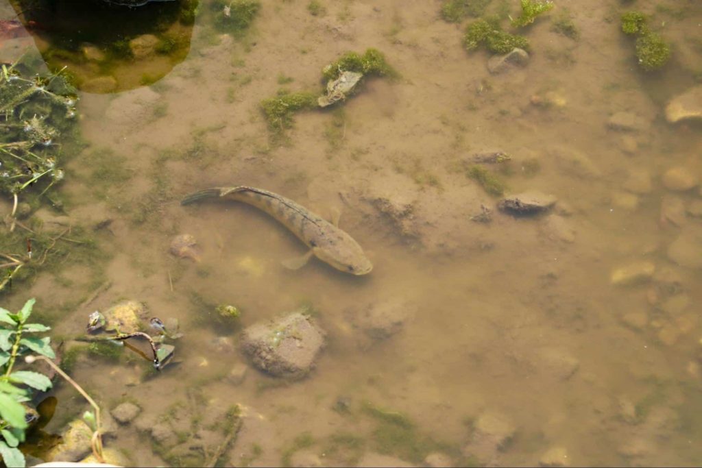 December to March - Best for Fishing